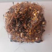 Seeds-the Origine and the Future Seeds - the Origine and the Future - Nature Art Geumgang Southwest Korea