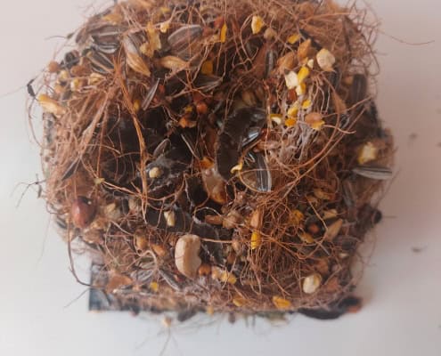 Seeds-the Origine and the Future Seeds - the Origine and the Future - Nature Art Geumgang Southwest Korea